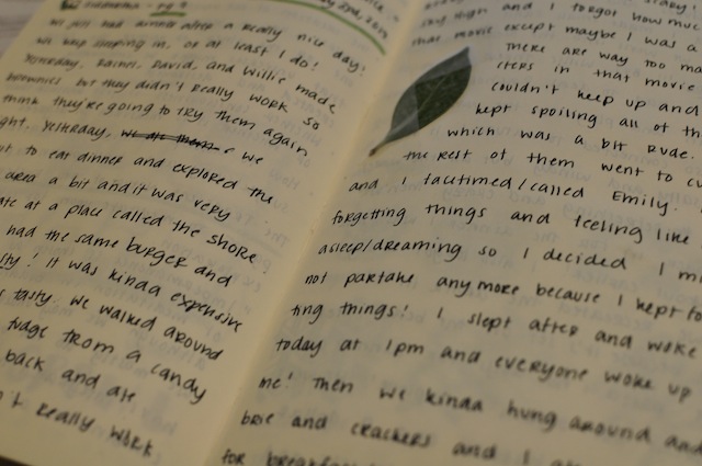 Speaking of notebooks, this is a beautiful one belonging to one of our very own queer diarists!