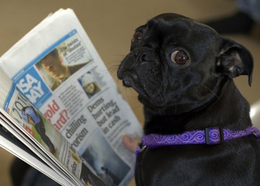 FRIDAY OPEN THREAD: I’m Reading A Newspaper As We Speak, Even Though It Might Be Frowned Upon