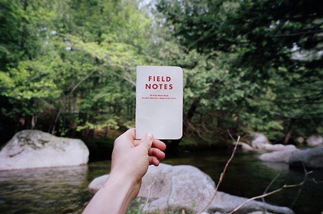 This seems like an ideal journaling background. (Via Antony Ohman)