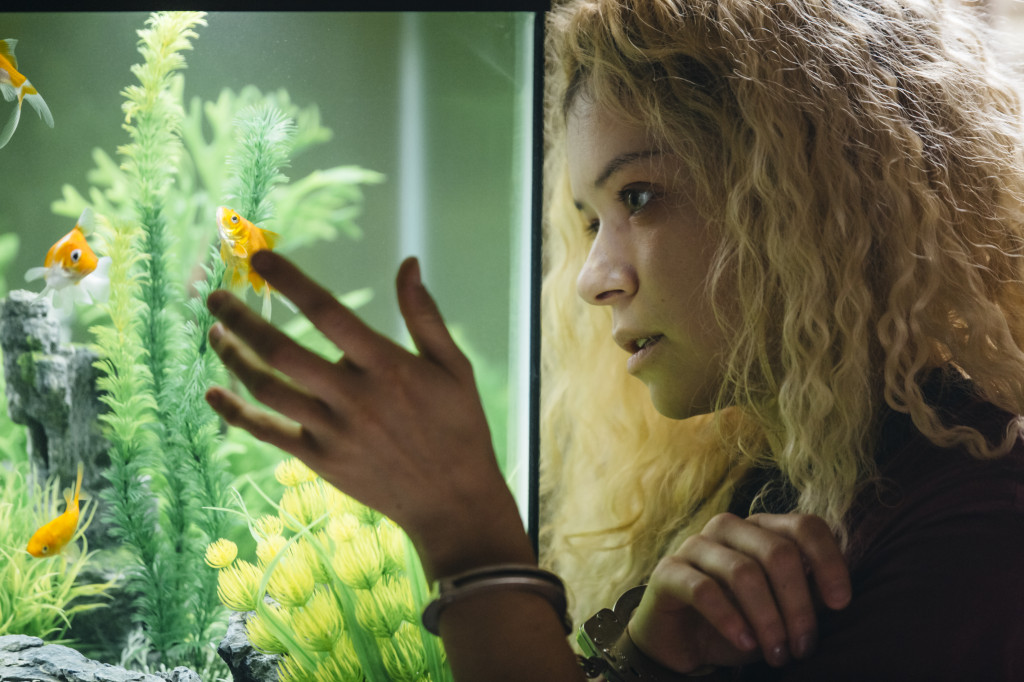 Orphan Black Episode 205 Recap: Ipsa Scientia Potestas Est