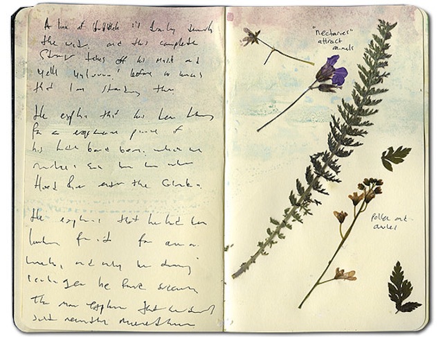 (Via Notebook Stories)