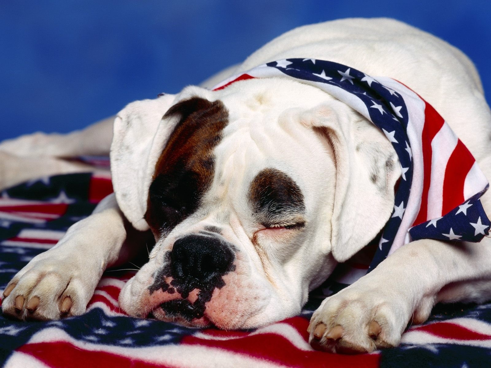 FRIDAY OPEN THREAD: It’s The F*cking Fourth of July, Betches (And Happy Belated Canada Day, Too!)