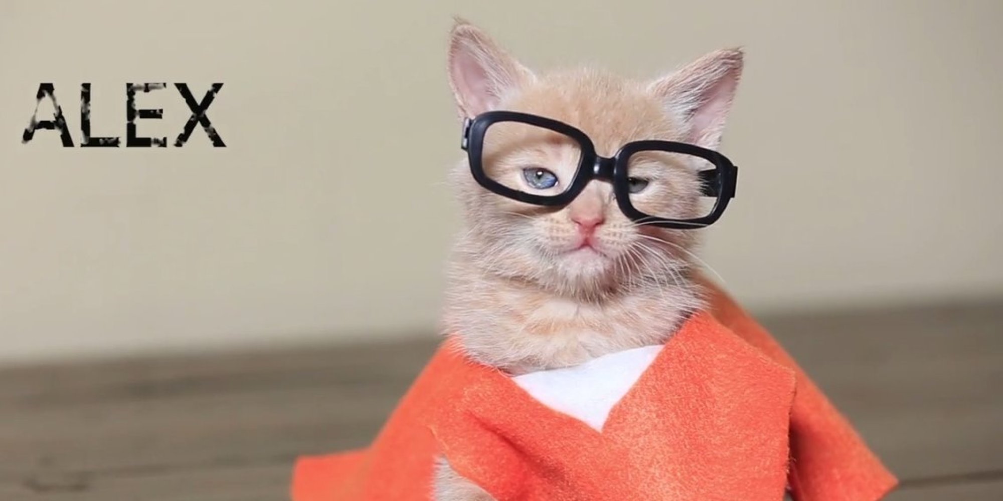 Oh My F*cking God It’s “Orange is the New Black” With Cats