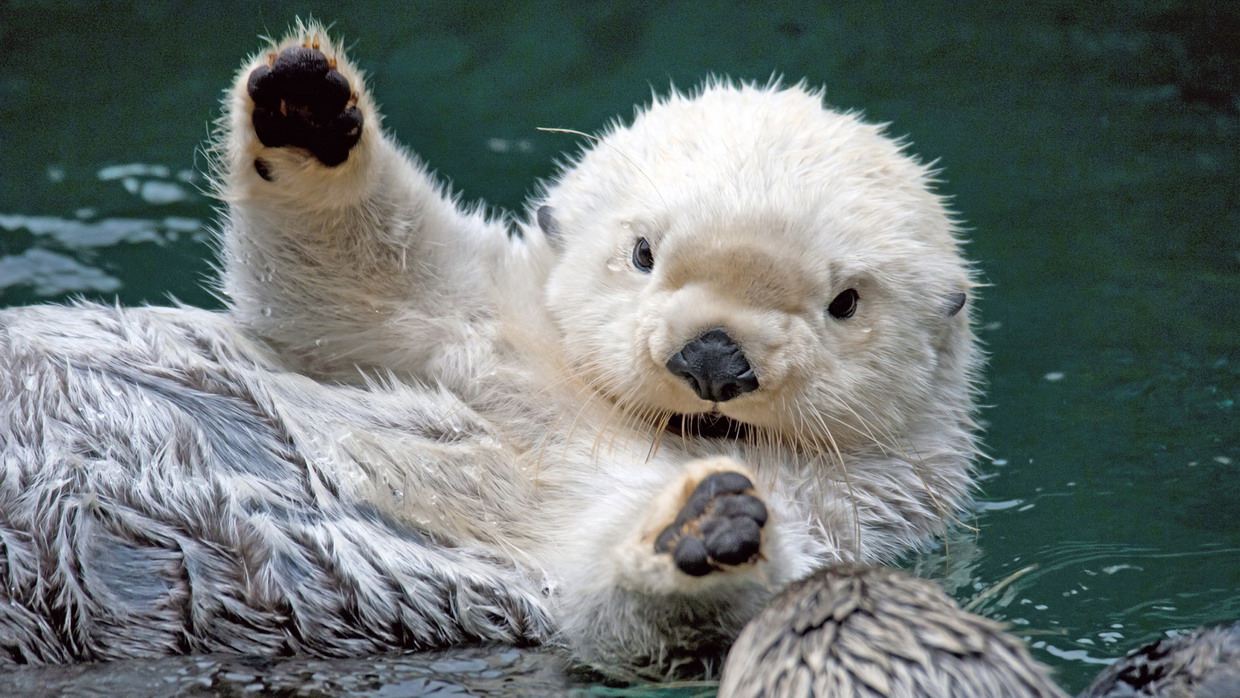 FRIDAY OPEN THREAD: Where Everybody Knows Your (User)Name