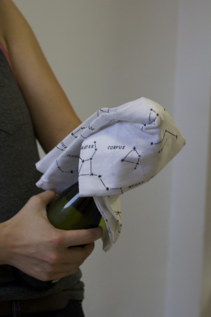 YOU WILL BREAK A WINDOW I PROMISE JUST USE A TEA TOWEL