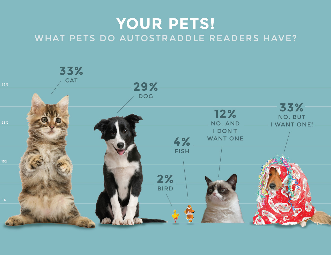 autostraddle_pet_infographic