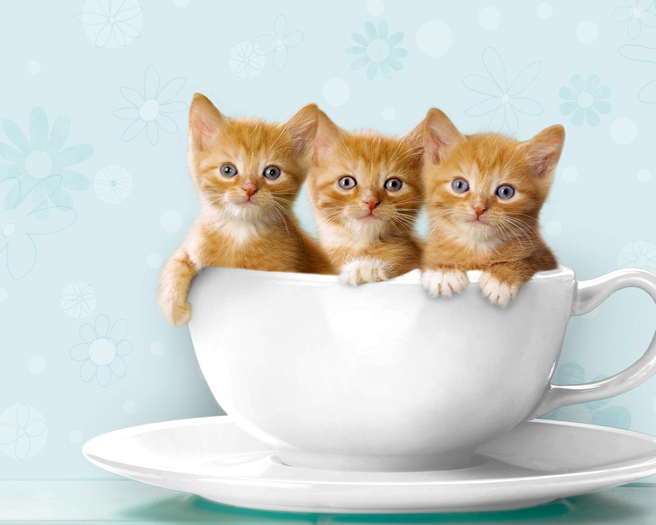 FRIDAY OPEN THREAD: Welcome to the Brunch Appreciation Society