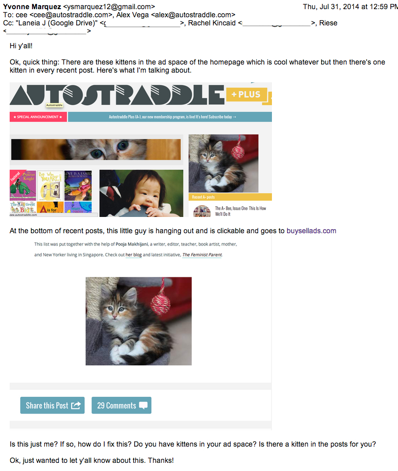 kitten-email