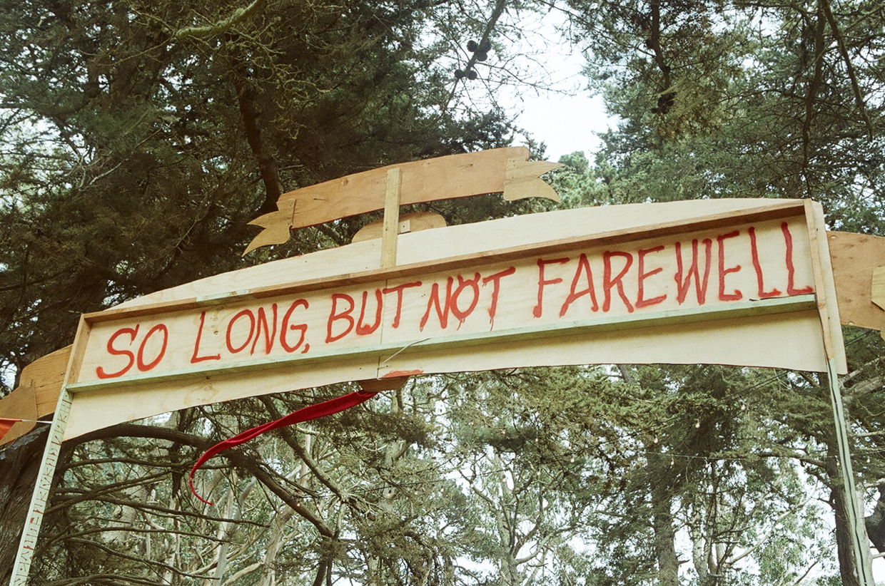 Outside Lands 2014: A Photo Diary Straight From the Trees