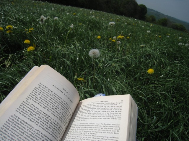 The pages immediately prior to my tragic discovery.