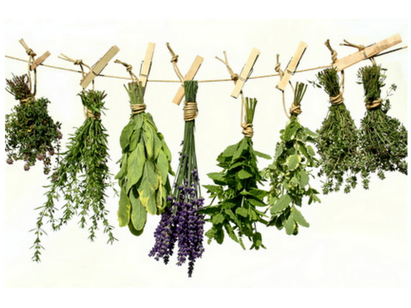 5 DIY Wellness Recipes for Your Next Sick Day