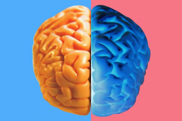 delusions_of_gender_the_bad_science_of_brain_sexism-620x412