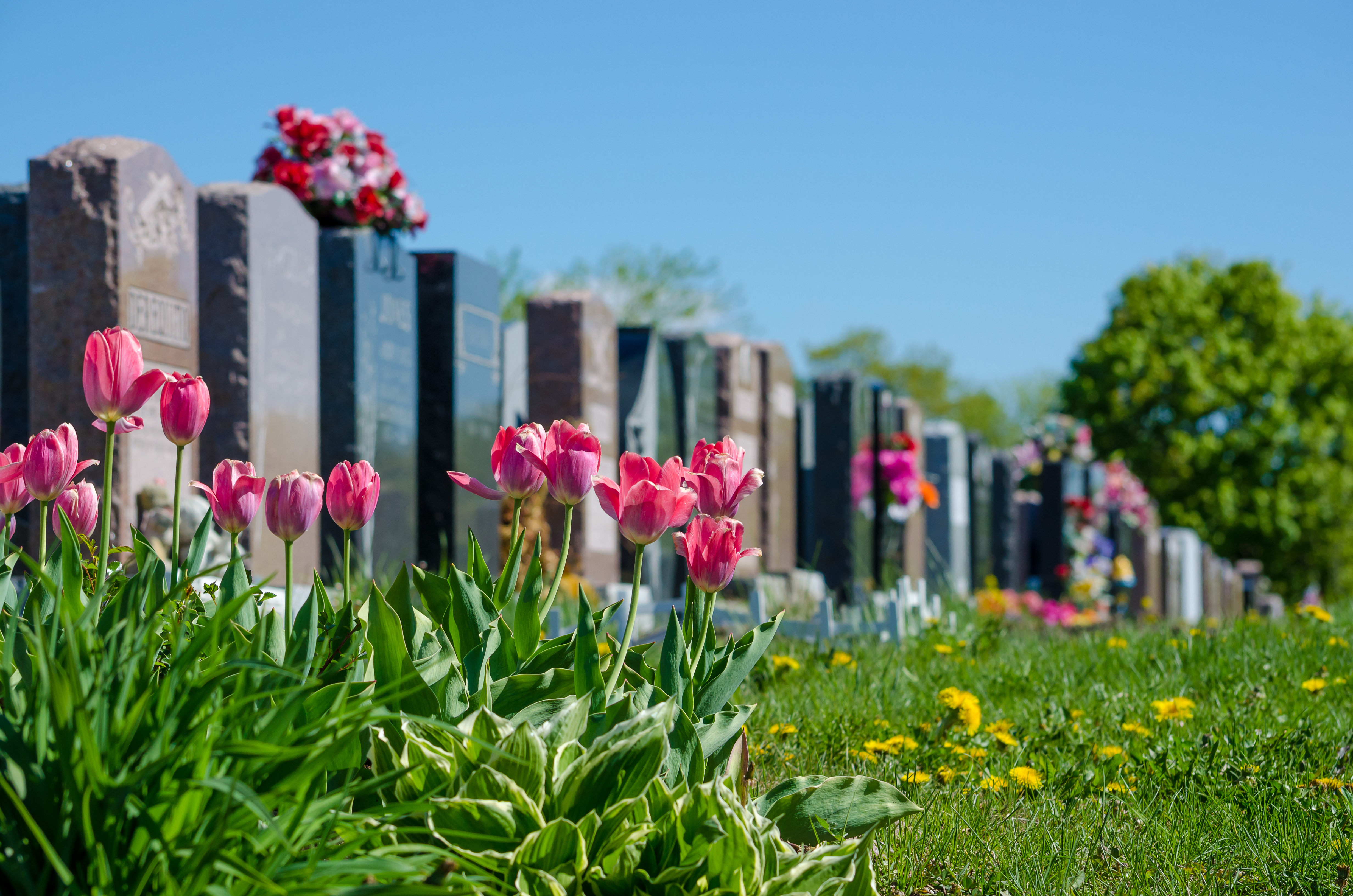Media Refuses To Grant Trans Women Dignity — Even Murder Victims