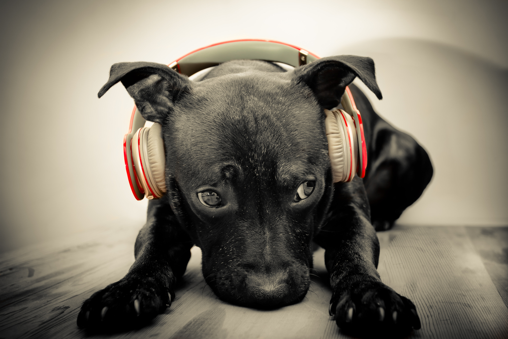 Playlist: One More Time Without Feeling