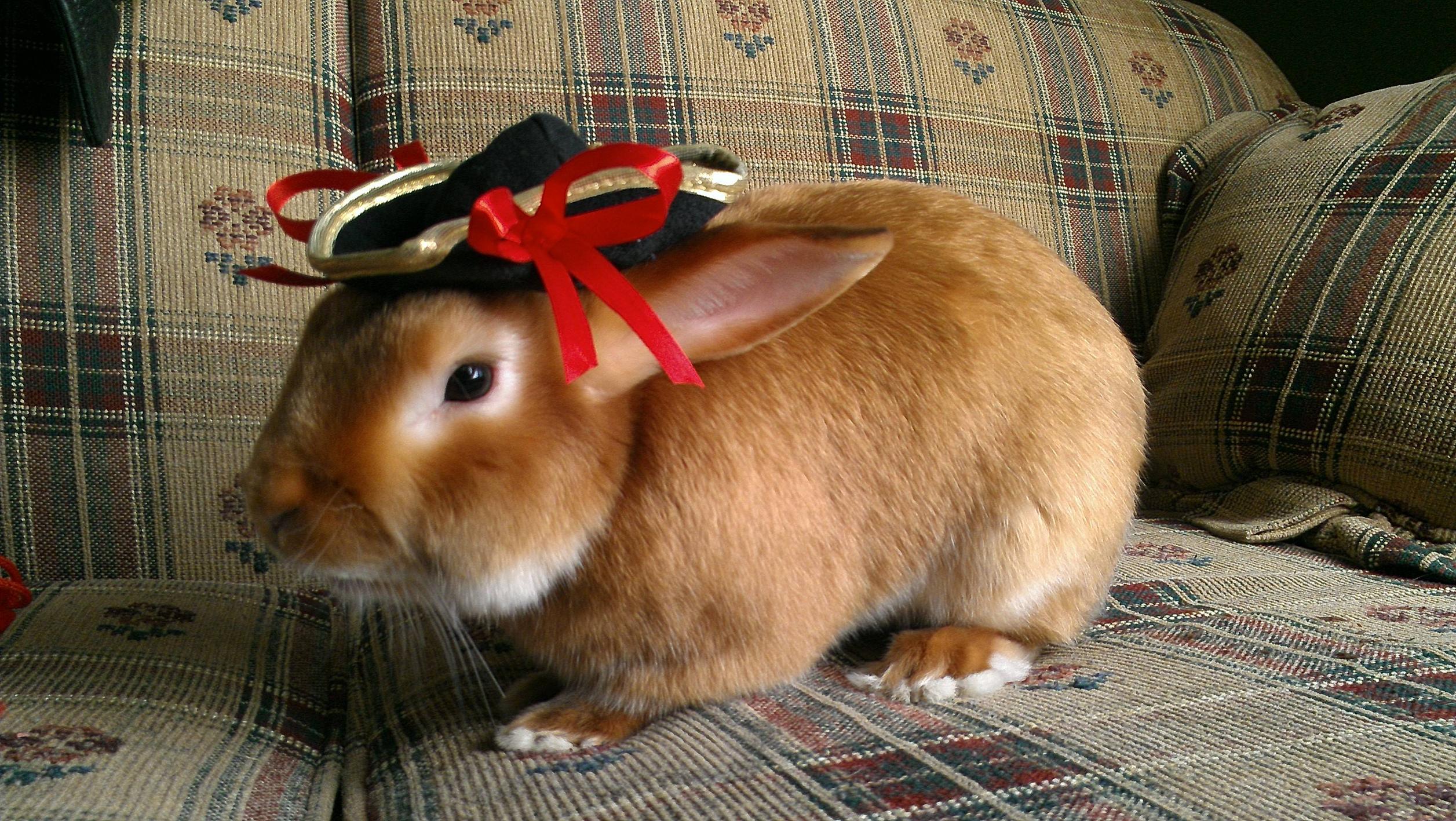 FRIDAY OPEN THREAD: What Are You Wearing, Like, Right Now?