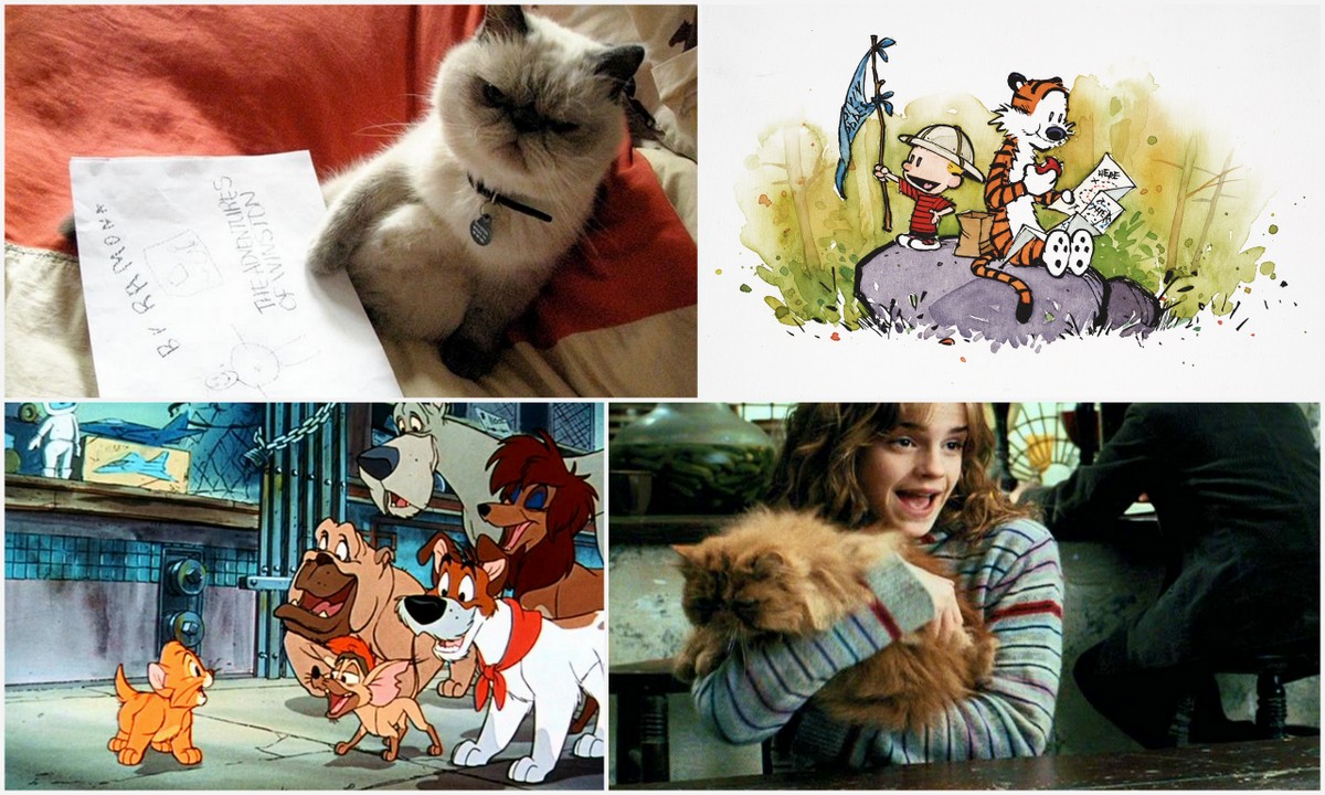 Sunday Top Ten: Some Cats I Don’t Hate