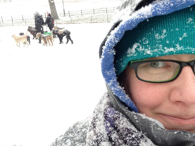 snow-dogs