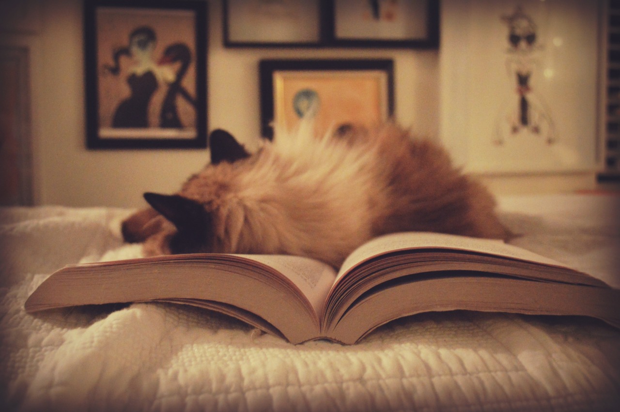 Lez Liberty Lit #63: New Year, New Reading Pile