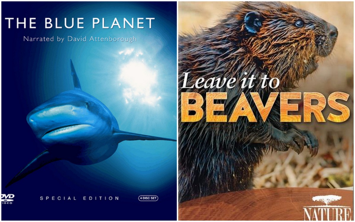 Sunday Top Ten: Spectacular Nature Documentaries For Watching While Wrapped Up In A Blanket