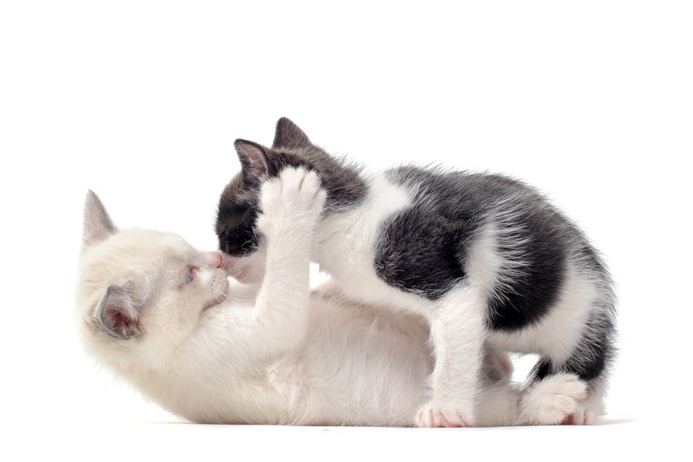You Need Help: Two Bottoms, One Relationship
