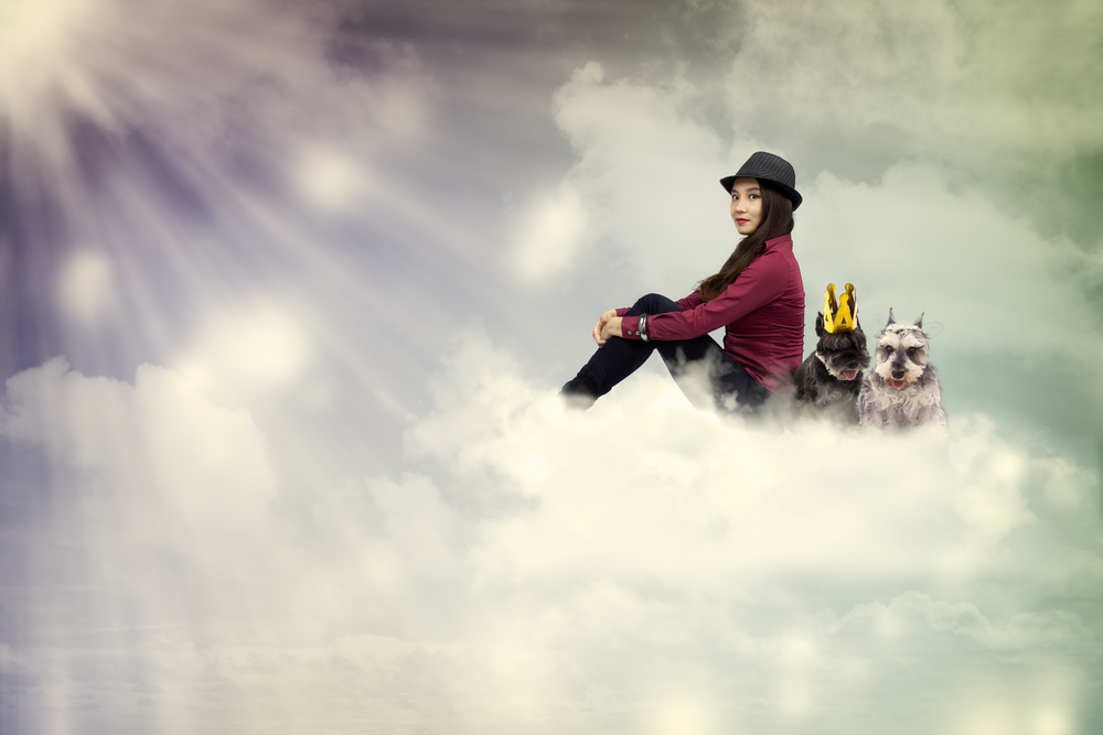 34 Awesome, Non-Existent and Otherwise Special Jobs You Wish You Had