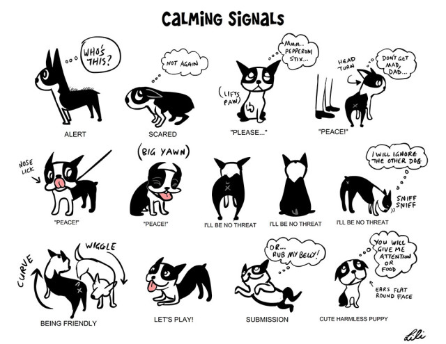 CalmingSignals