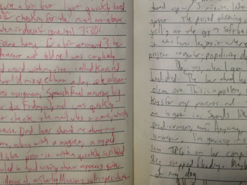 13 Excerpts From Stef’s Super Secret 8th Grade Diary
