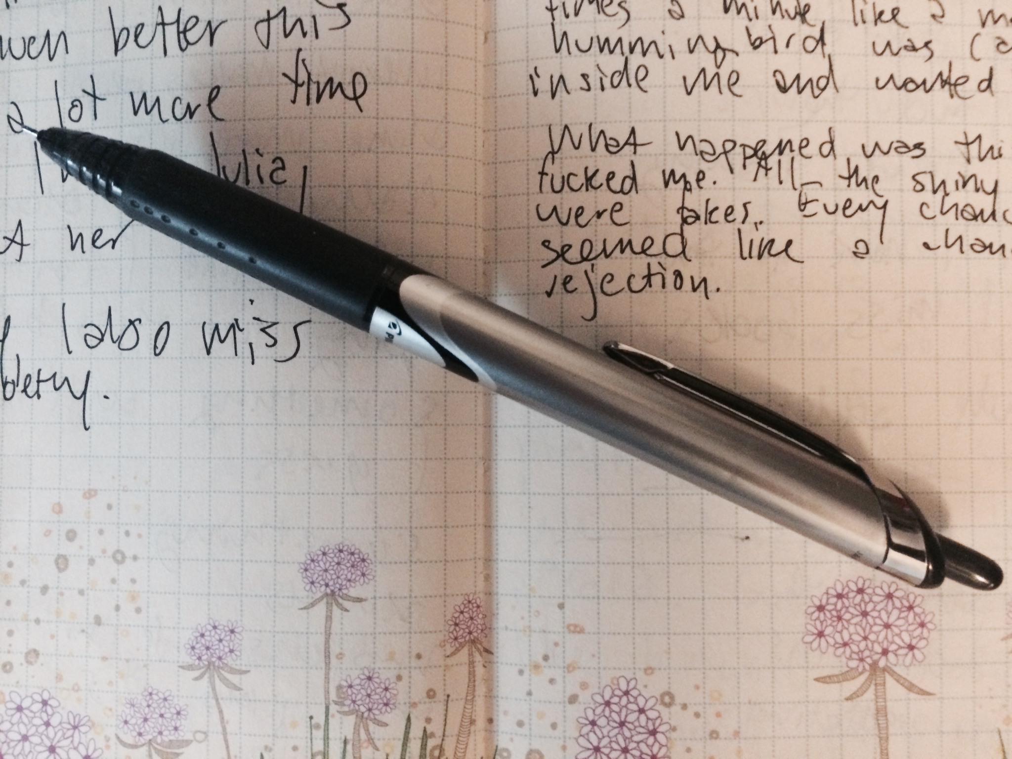 34 Excerpts From Riese’s Diaries, 2008 – 2014
