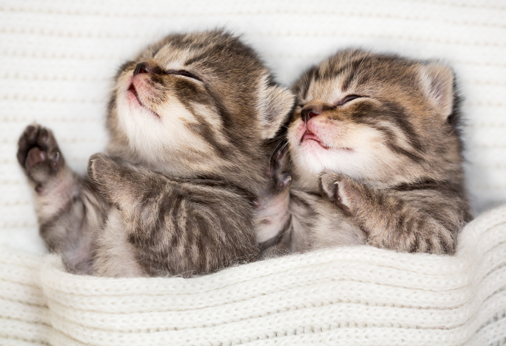 Our Embarrassing Sleep-Deprived Mess-Ups and Mishaps: A Roundtable