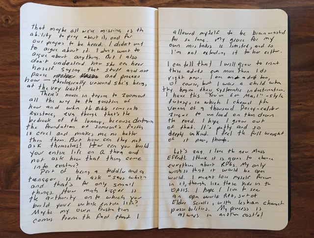 30 Excerpts From Heather’s Diary, 2010-2012