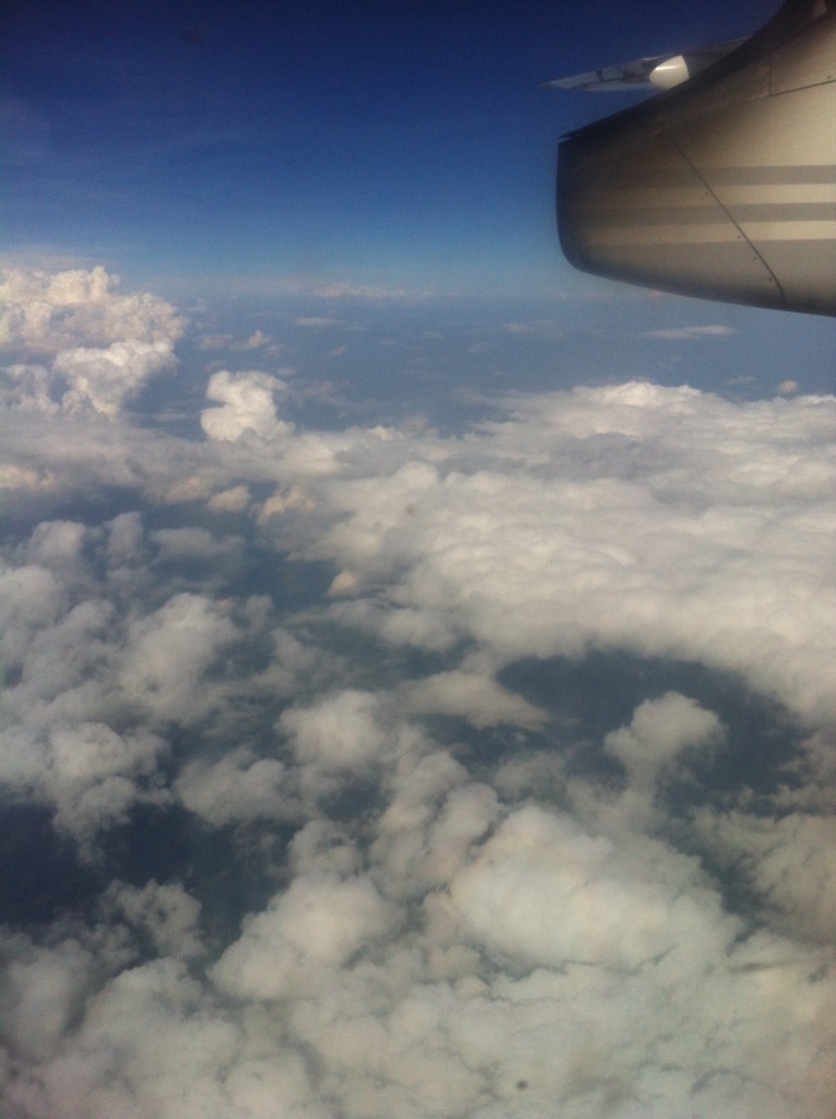 image (7)