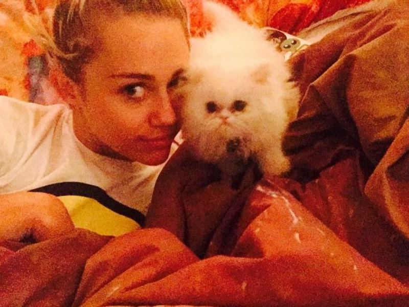 No Filter: OMG Look At Miley Cyrus’ Kitten