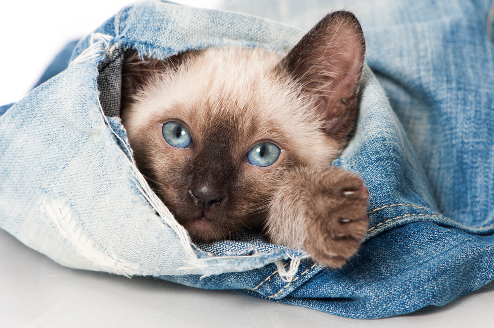 FRIDAY OPEN THREAD: What Do You Wear When You Want To Feel Awesome?