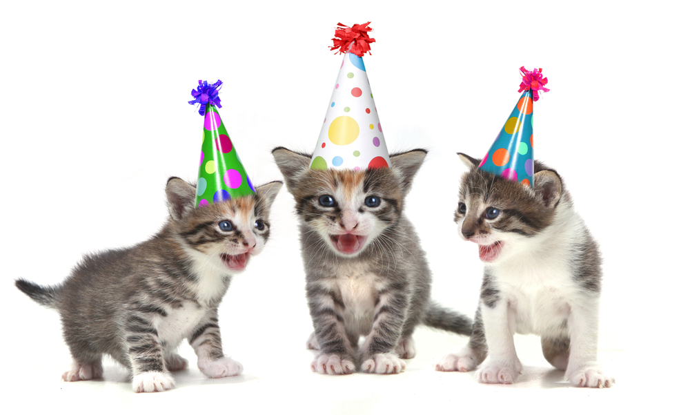 Friday Open Thread: House, Pajama, Dance, Rooftop, Rent — What’s Your Favorite Summer Party?