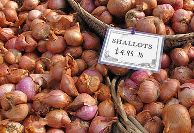 garden-shallots1