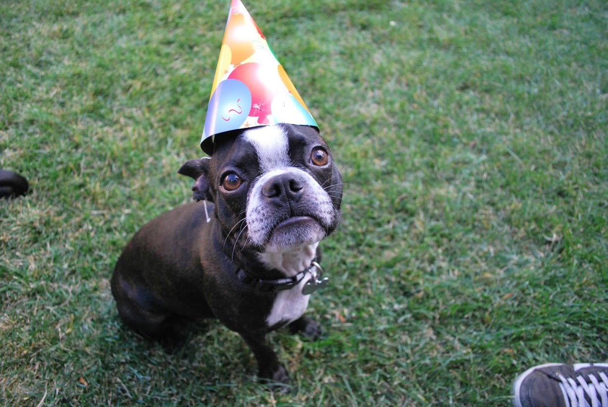 FRIDAY OPEN THREAD: It’s Almost My Birthday And I’ll Freak Out If I Want To