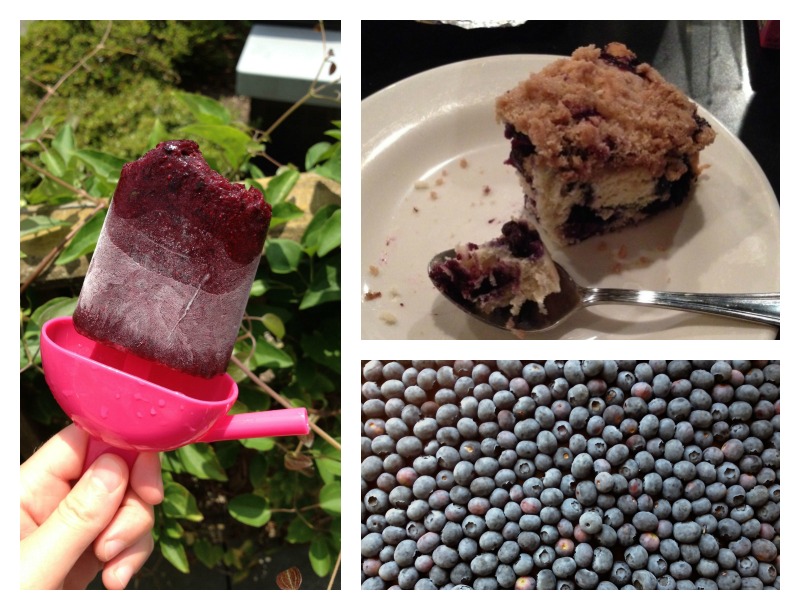 Get Baked: Three Brilliant Blueberry Recipes To Try This Summer