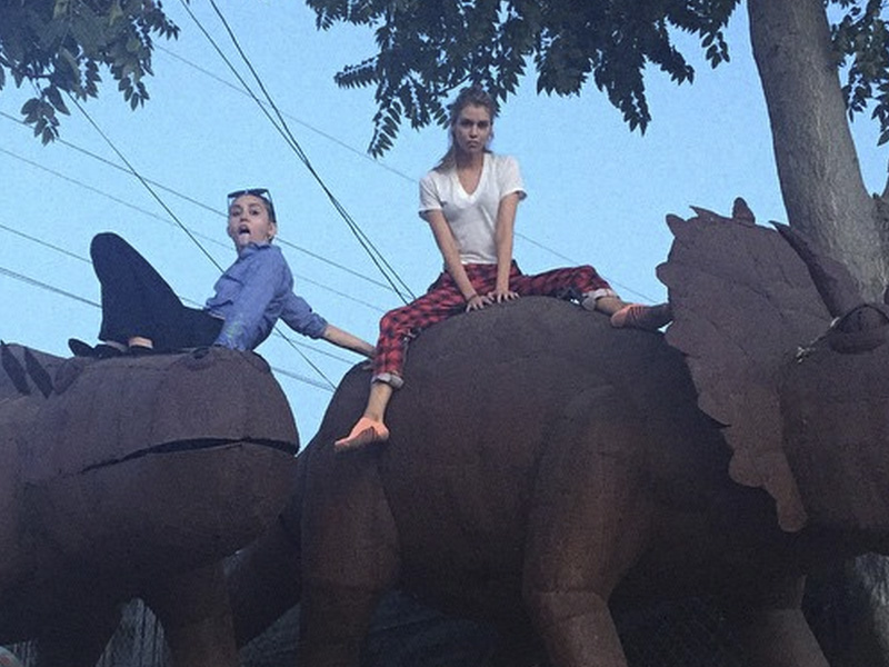 No Filter Is Sailing Down A Lazy River On A Giant Swan With Sara Quin’s Cat