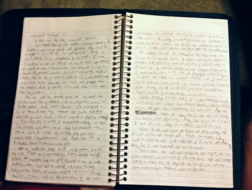 22 Excerpts From Laura’s Misanthropic Teen Diary, 2000-2003