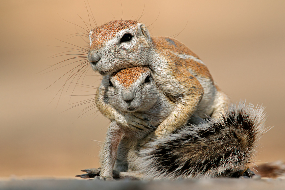 Helping You Help Yourself #9