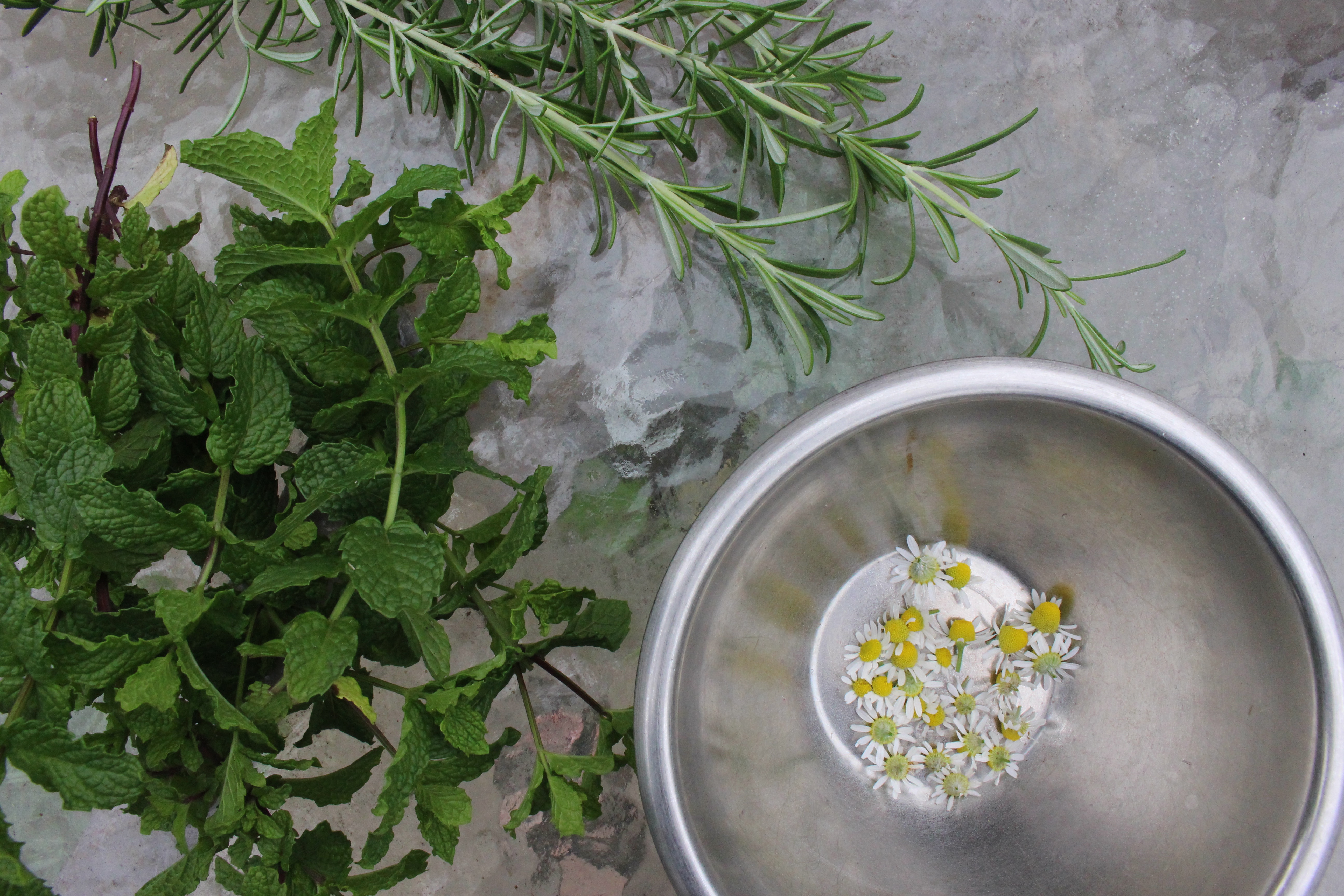 This Is How We Do It: Drying and Preserving Herbs
