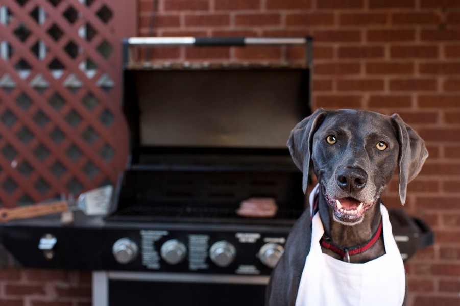 Friday Open Thread: I Wanna Hear All About Your #AutoBabeBQ Plans, and Also the Rest of Your Life