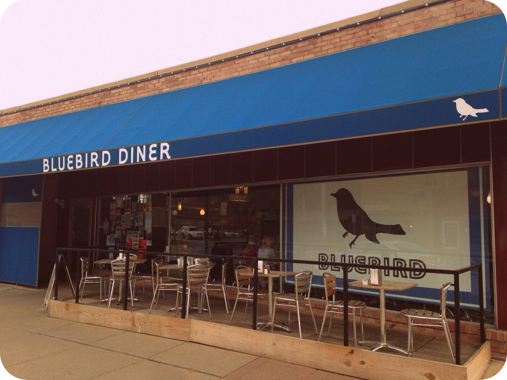 bluebird