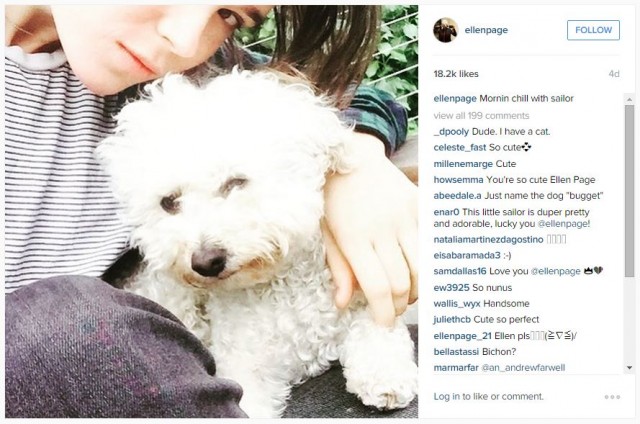 dogpage