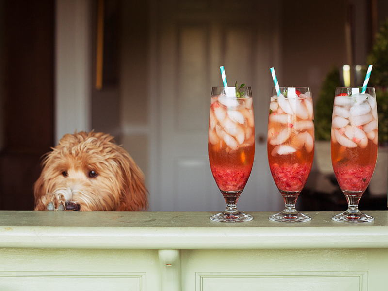 Cool-Down Cocktails: 3 Summer Drinks To Say Farewell To Summer With