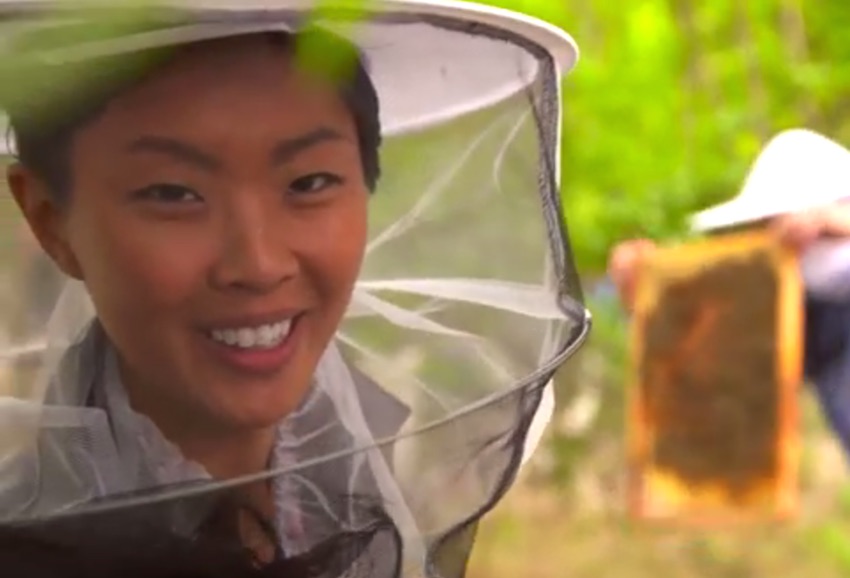 Kristen Kish and Her Perfect Hair Jet-Set Around the World in “36 Hours”