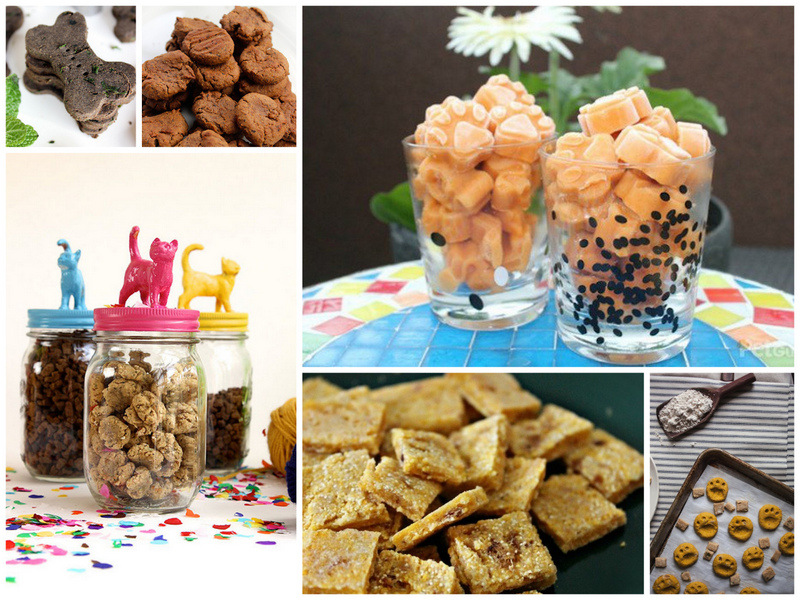 20 Pet Treats That Will Make Tails Wag and Kittens Purr