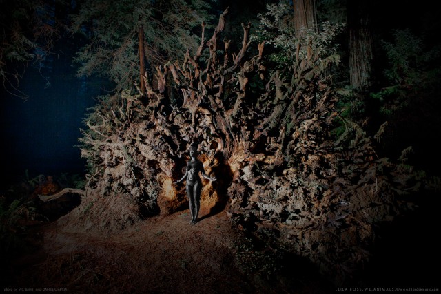 Lila Rose - WE.ANIMALS. - Roots
