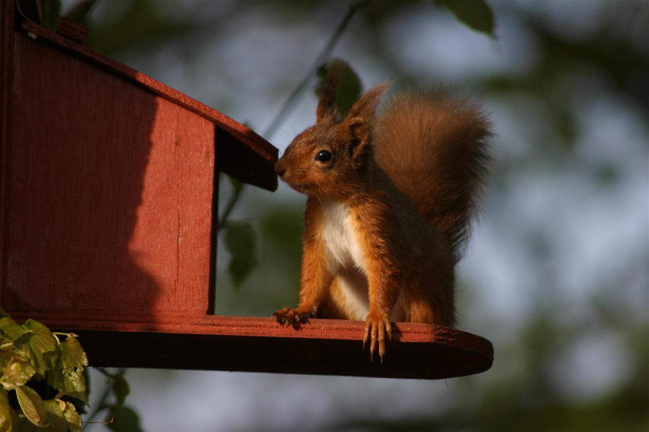 FRIDAY OPEN THREAD: Home Is Where the Gal Pal Is