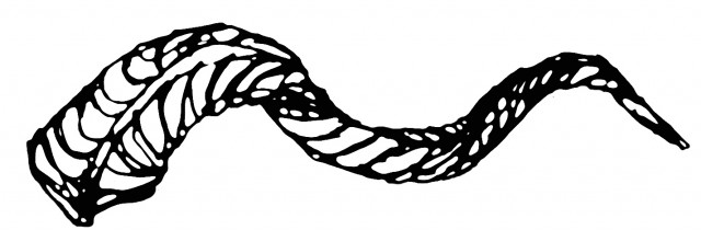 01 aries header autostraddle copy